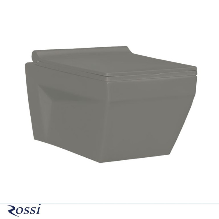 وال هنگ رُسی مدل لاریسا طوسی و شنی